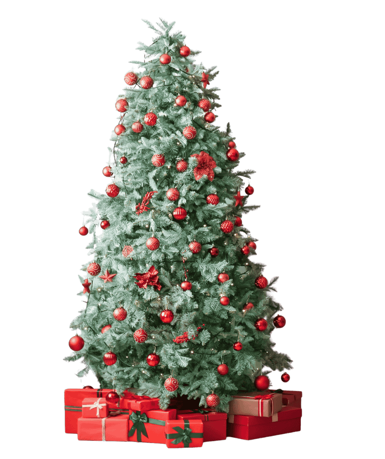 Christmas Party Planner